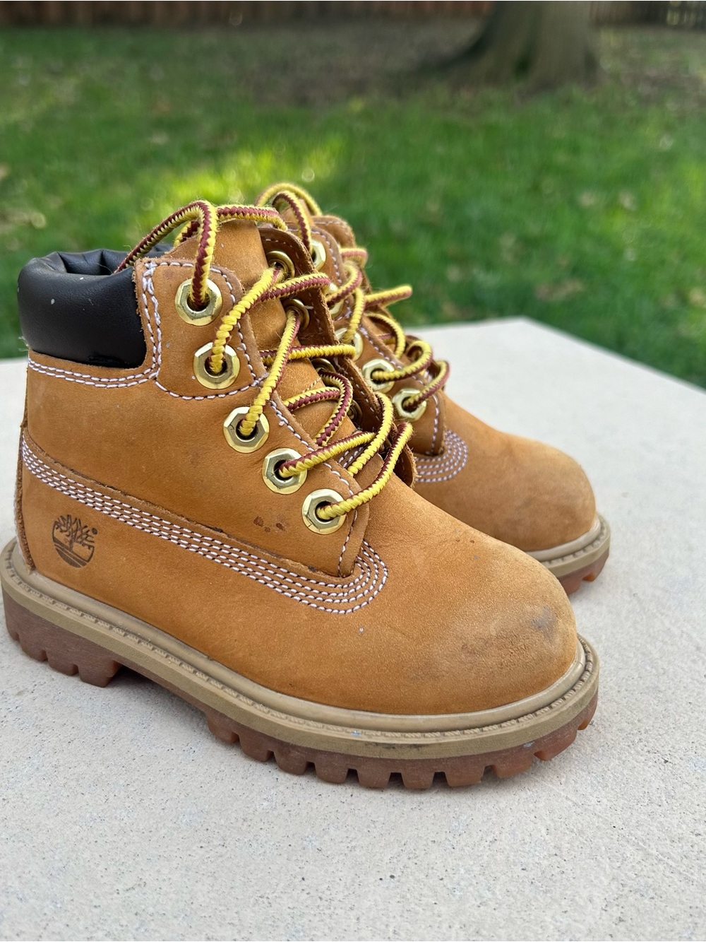 Timberland Toddler 6-Inch Premium Waterproof Boots Size 6